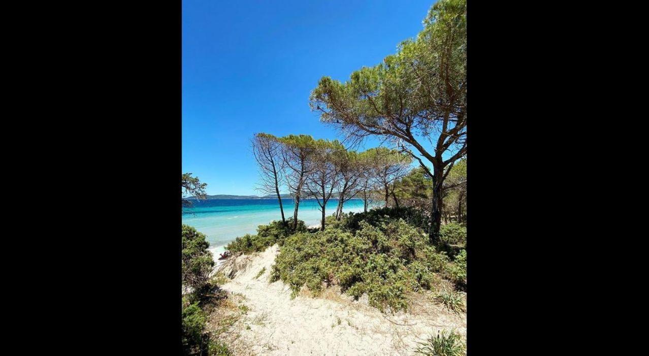 Brezza Di Mare Appartamento In Villa Con Giardino E Spiaggia ,Casa Vacanze Al Mare Quartu SantʼElena Exteriér fotografie